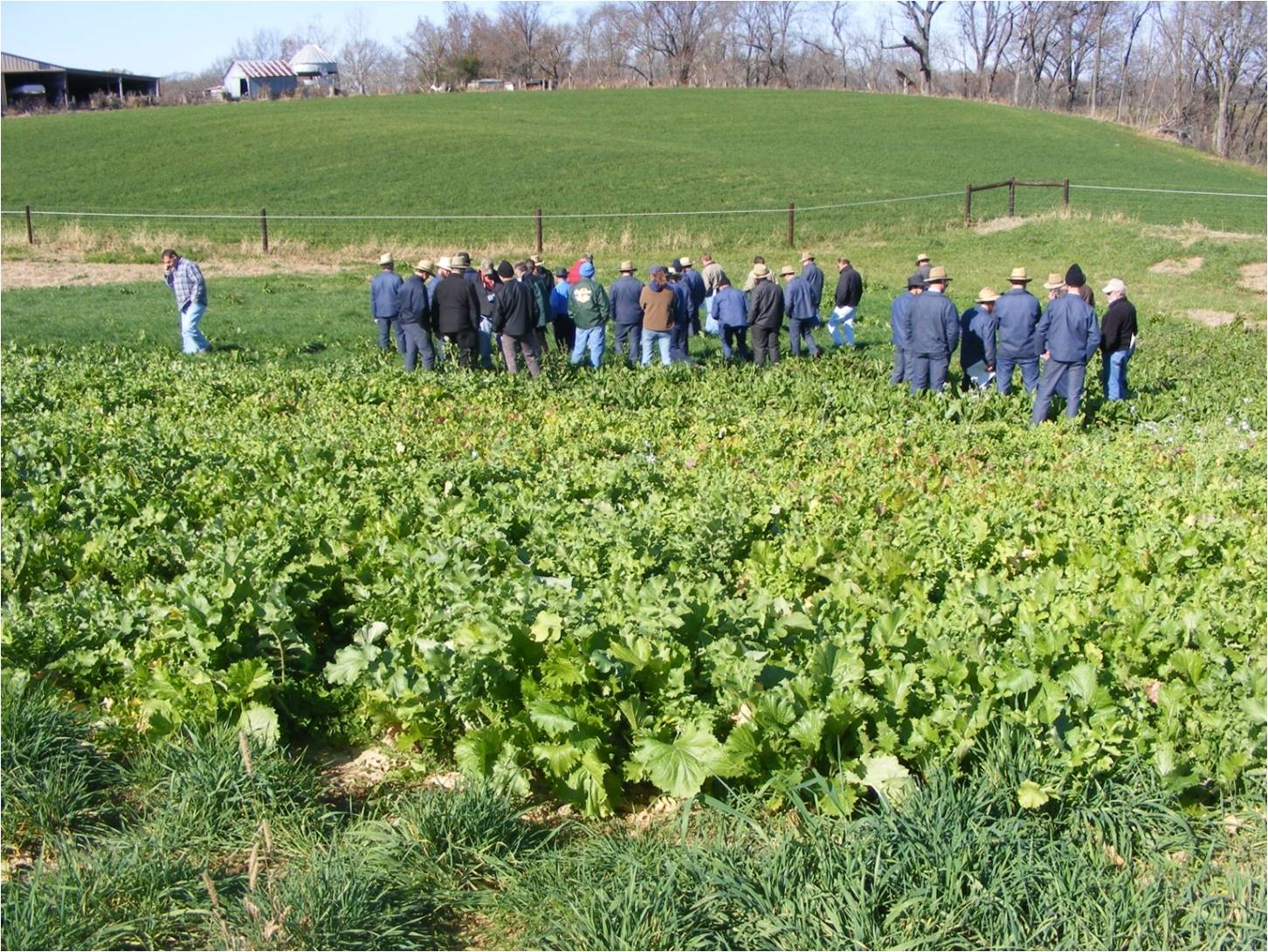 Cover Crop Meetings Scheduled FebruaryMarch 2013 Plant