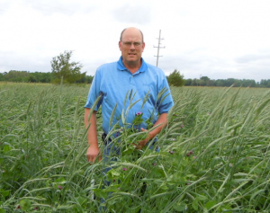 Terrys Michigan cover crops June 2010 007