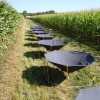 Cover Crop Aerial Applicators Training Now Set fall 2010 064