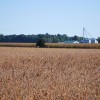 Photo Diary – Soybeans planted into a Cereal Rye cover crop – part 3 DSC_0496