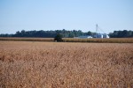 DSC_0496 DSC_0496