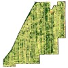 Advanced Ag Solutions: No-Till Innovators GreenseekerNDVIMapOfAnnualRyegrassCoverInCornStalksNov18_2011