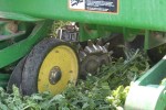 Dave planting into peas June 3 2011 Dave planting into peas June 3 2011