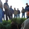 Cover Crop Root Pits Reveal Plenty One of the joys of working with farmers is the excitement I see on their faces when they "get it" about soil health. There were several excited farmers again this spring.