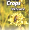 “Midwest Cover Crops Field Guide” Now Available The Midwest Cover Crops Field Guide is now available!