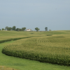 Cover Crops Increase Iowa Corn Yields Eric Franzenburg has seen increased corn yields of 20-40 bushels per acre the past 3-4 years after using cover crops!