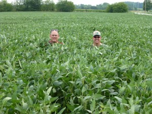 Cover crops REALLY help with yield :)