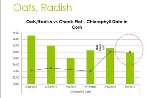 While the Oats and Radish showed exceptionally favorable in the early part of the season the plot are  "ran out of gas" as the corn was pollinating.