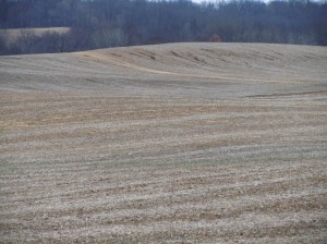 Ruts in soybean fields are way too common sights as I drive across the Midwest. 