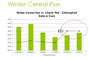 Straight Winter Cereal Rye was impressive early season but also did not fare as well against the check as the mixes with legumes