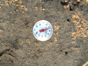 Soil Temperature in the long term no-till plot (check plot) 4-5-2013