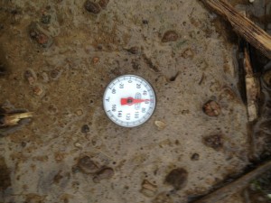 The soil temperature in the long term no-till soils on 4-12-2013.  Note how waterlogged the soil looks.  
