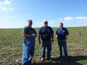 Brad, TJ, and Andrew inspecting on of Brads many cover crop fields that were planted in July 2013.on prevented planting acres.