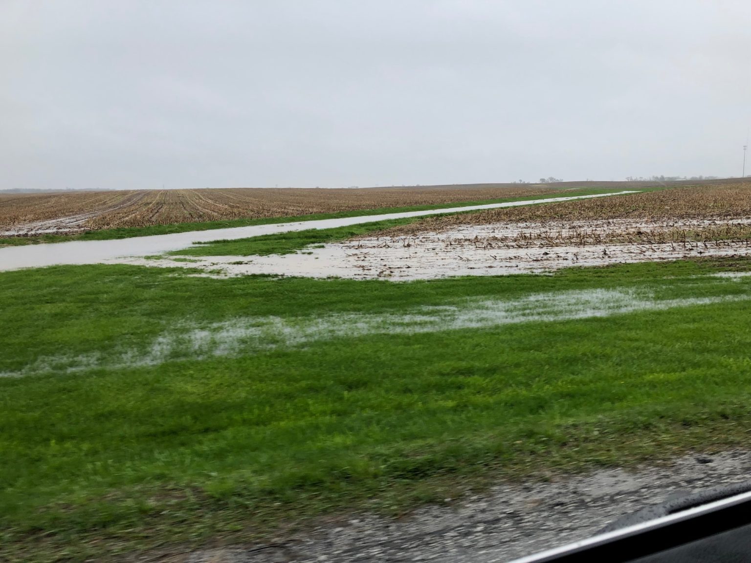 Why Cover Crops? Plant Cover Crops