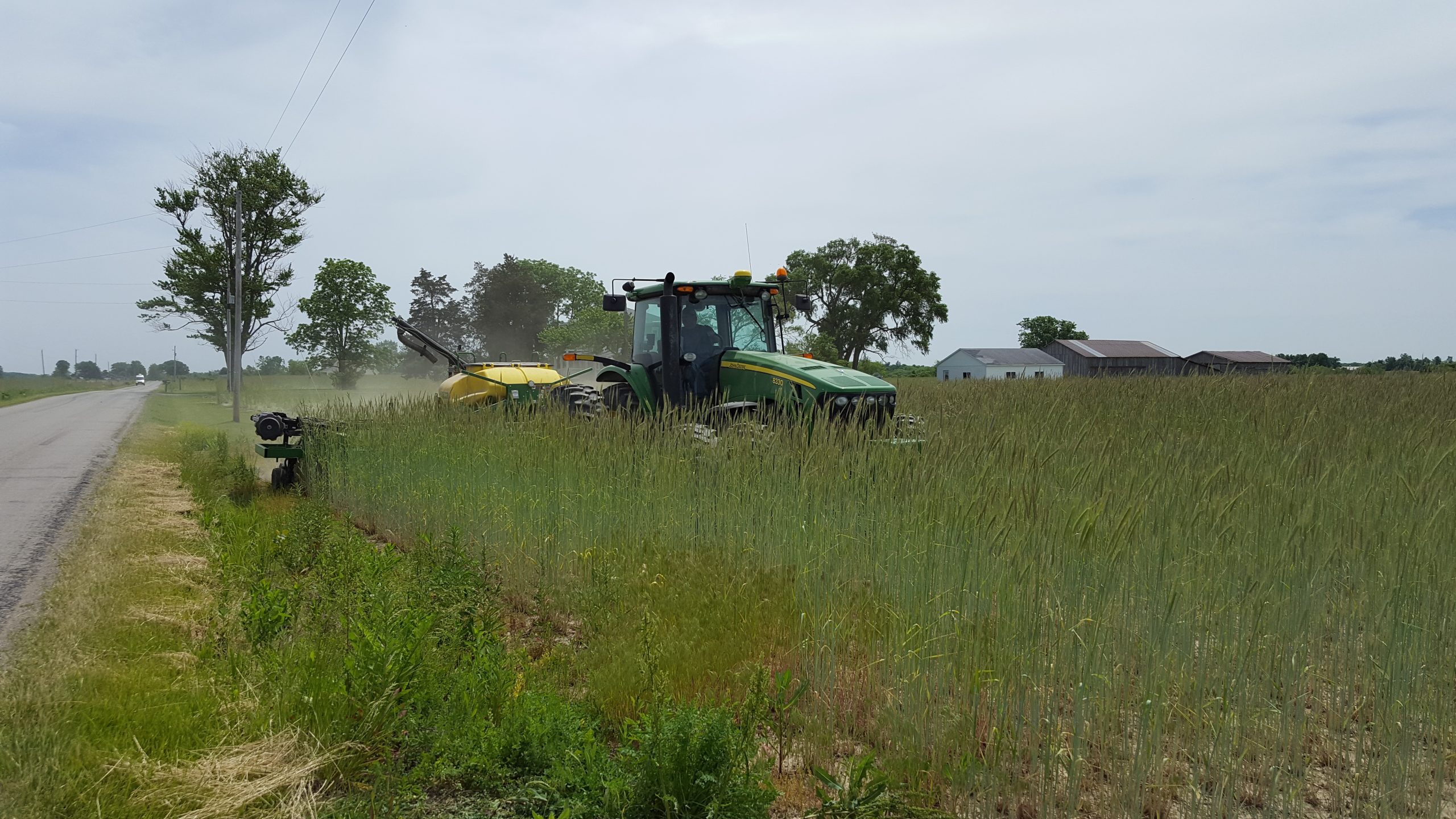 Cereal (winter) rye is great at discouraging weed growth and works well ahead of a soybean crop. 